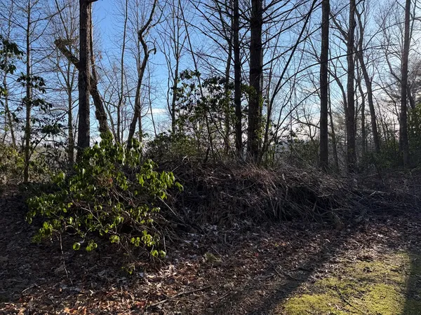 $25,000 | Lot 43 Laurel Lane, Murphy, NC 28906