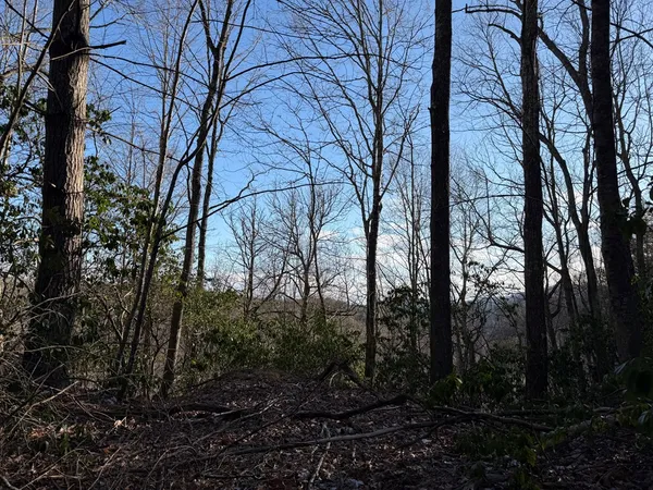 $25,000 | Lot 43 Laurel Lane, Murphy, NC 28906