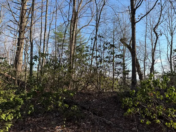 $25,000 | Lot 43 Laurel Lane, Murphy, NC 28906