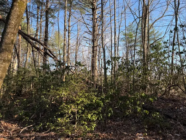 $25,000 | Lot 43 Laurel Lane, Murphy, NC 28906