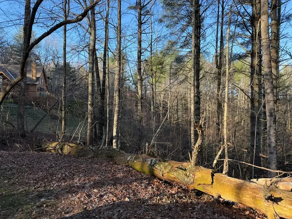 $25,000 | Lot 43 Laurel Lane, Murphy, NC 28906
