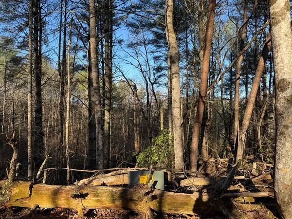 $25,000 | Lot 43 Laurel Lane, Murphy, NC 28906