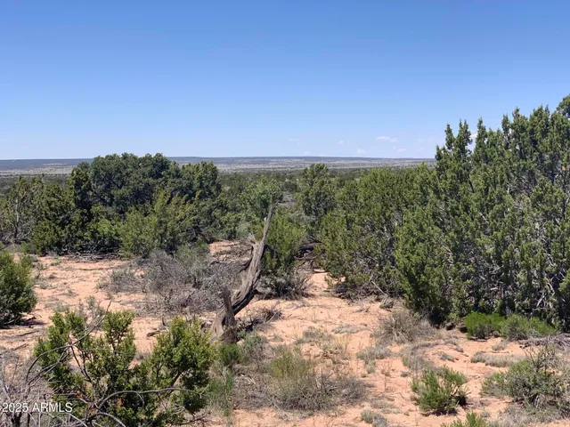 a view of a yard in a yard