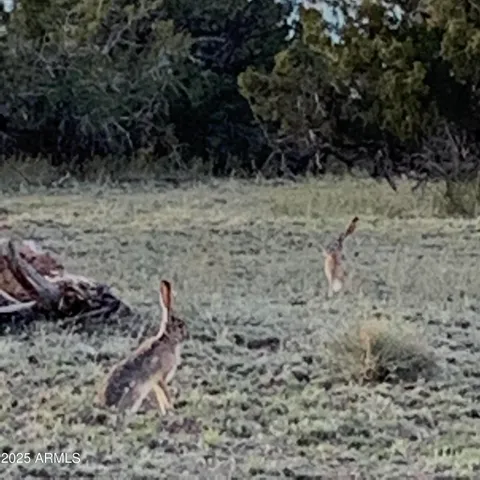 a view of an outdoor space with mountain view
