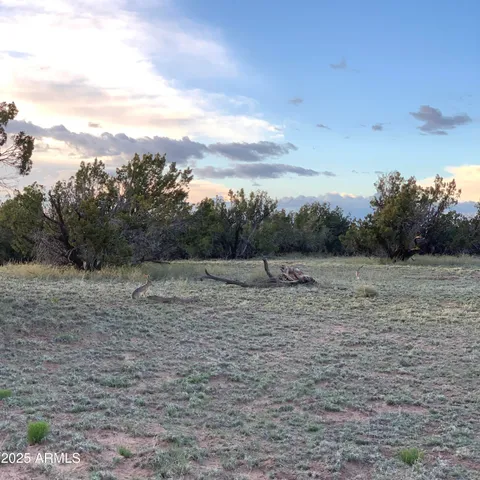 $35,000 | 9 County Rd N7340, Unit 14, St. Johns, AZ 85936