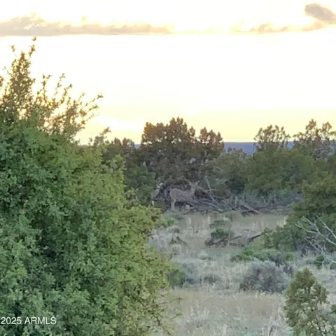 $35,000 | 9 County Rd N7340, Unit 14, St. Johns, AZ 85936