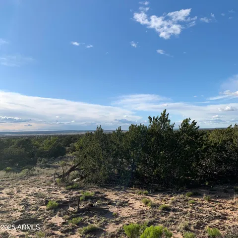 $35,000 | 9 County Rd N7340, Unit 14, St. Johns, AZ 85936