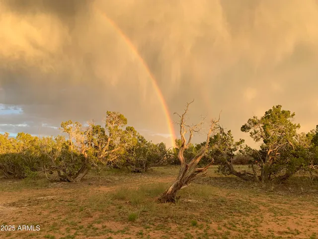 a view of a yard with an outdoor space
