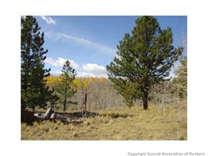 3676 Buffalo Ridge Road Como, CO 80432 - Photo 1 of 8 Gallery Image 1