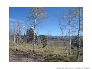 3676 Buffalo Ridge Road Como, CO 80432 - Photo 2 of 8 Gallery Image 2