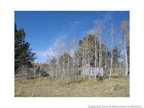 3676 Buffalo Ridge Road Como, CO 80432 - Photo 3 of 8 Gallery Image 3