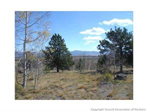 3676 Buffalo Ridge Road Como, CO 80432 - Photo 4 of 8 Gallery Image 4