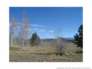 3676 Buffalo Ridge Road Como, CO 80432 - Photo 5 of 8 Gallery Image 5