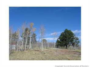 3676 Buffalo Ridge Road Como, CO 80432 - Photo 6 of 8 Gallery Image 6