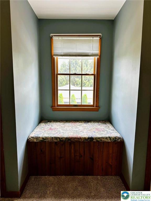 1125 Bridle Path Road Bethlehem, PA 18017 - Photo 29 of 70 Nostalgic window seat