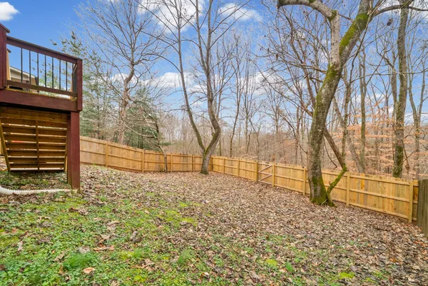 a view of back yard of the house