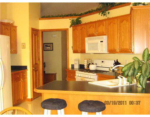 55338 County Line Road New Carlisle, IN 46552 - Photo 9 of 12 Gallery Image 9