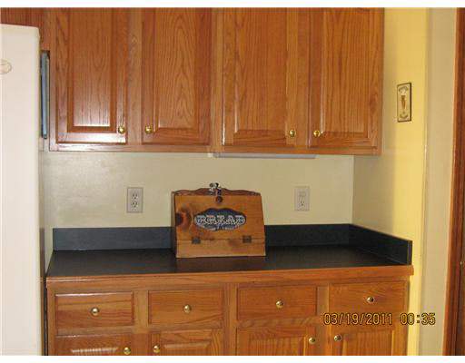 55338 County Line Road New Carlisle, IN 46552 - Photo 10 of 12 Gallery Image 10