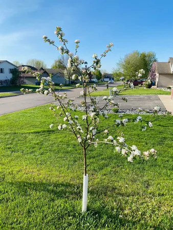 $324,500 | 1271 Stone Ridge Road, Sauk Rapids, MN 56379