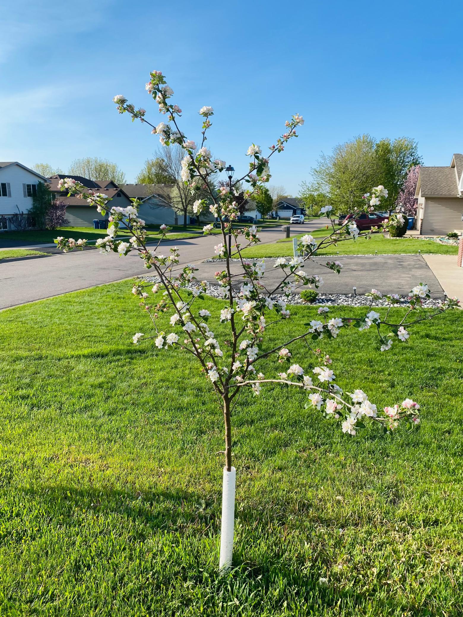 1271 Stone Ridge Road Sauk Rapids, MN 56379 - Photo 32 of 34