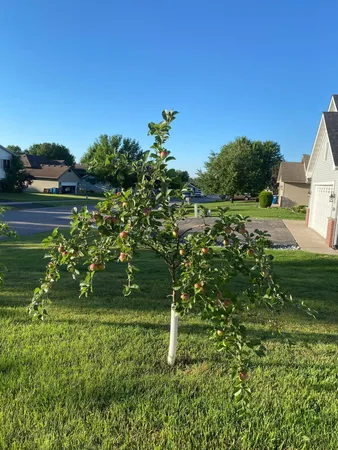 $324,500 | 1271 Stone Ridge Road, Sauk Rapids, MN 56379