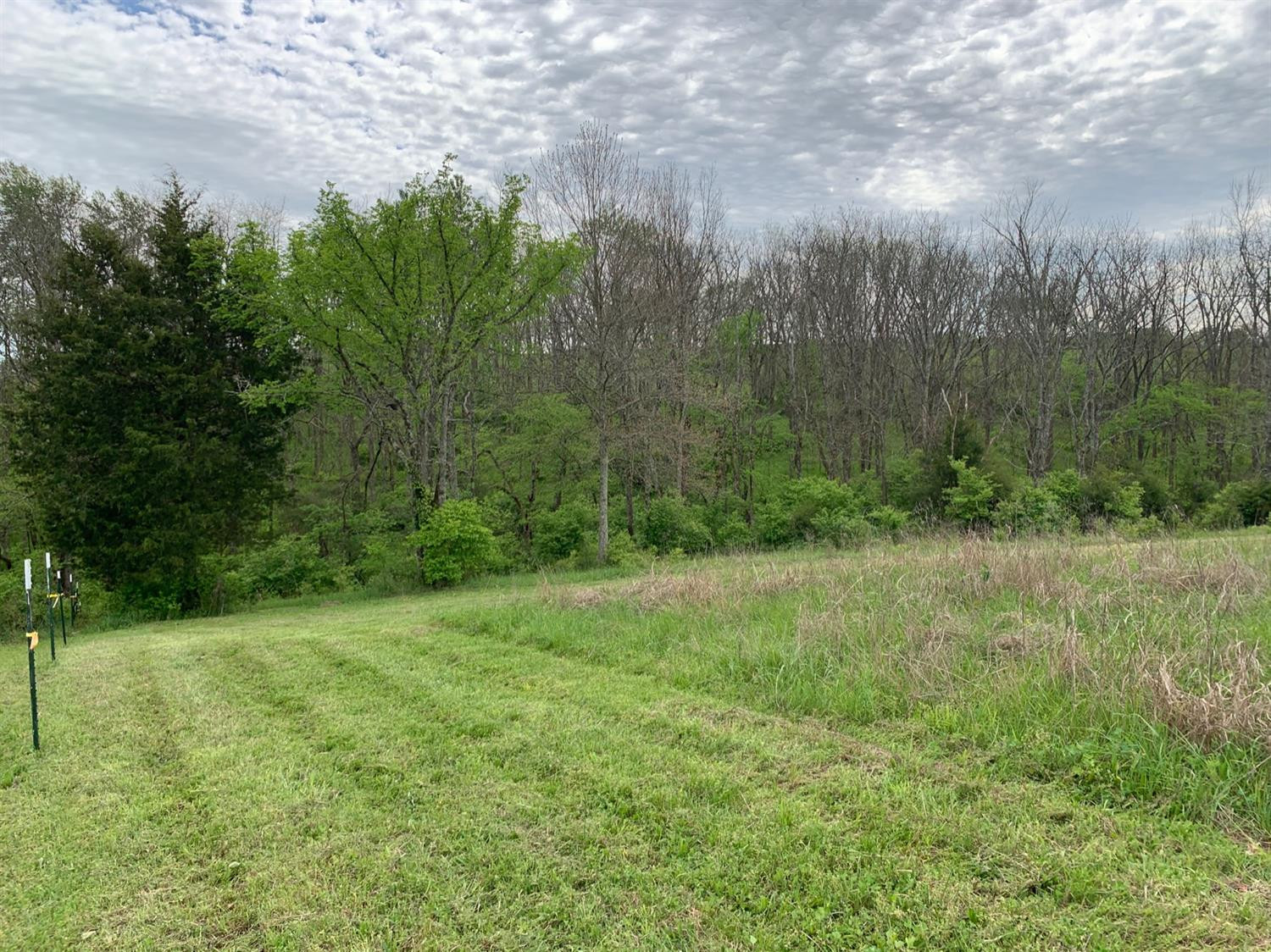 1618 Cummins Ferry Road Salvisa, KY 40372 - Photo 6 of 11 Photo 6