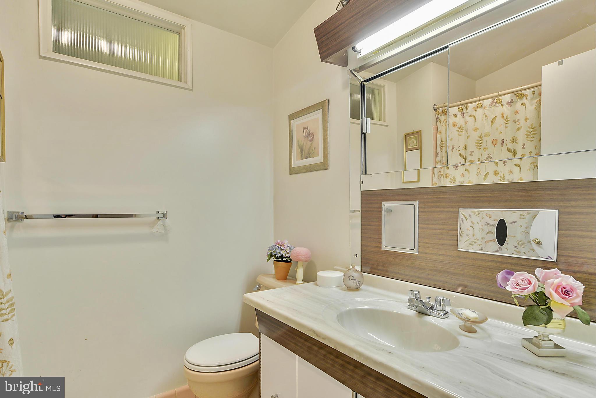 910 North Belgrade Road Silver Spring, MD 20902 - Photo 20 of 30 Hall Bath