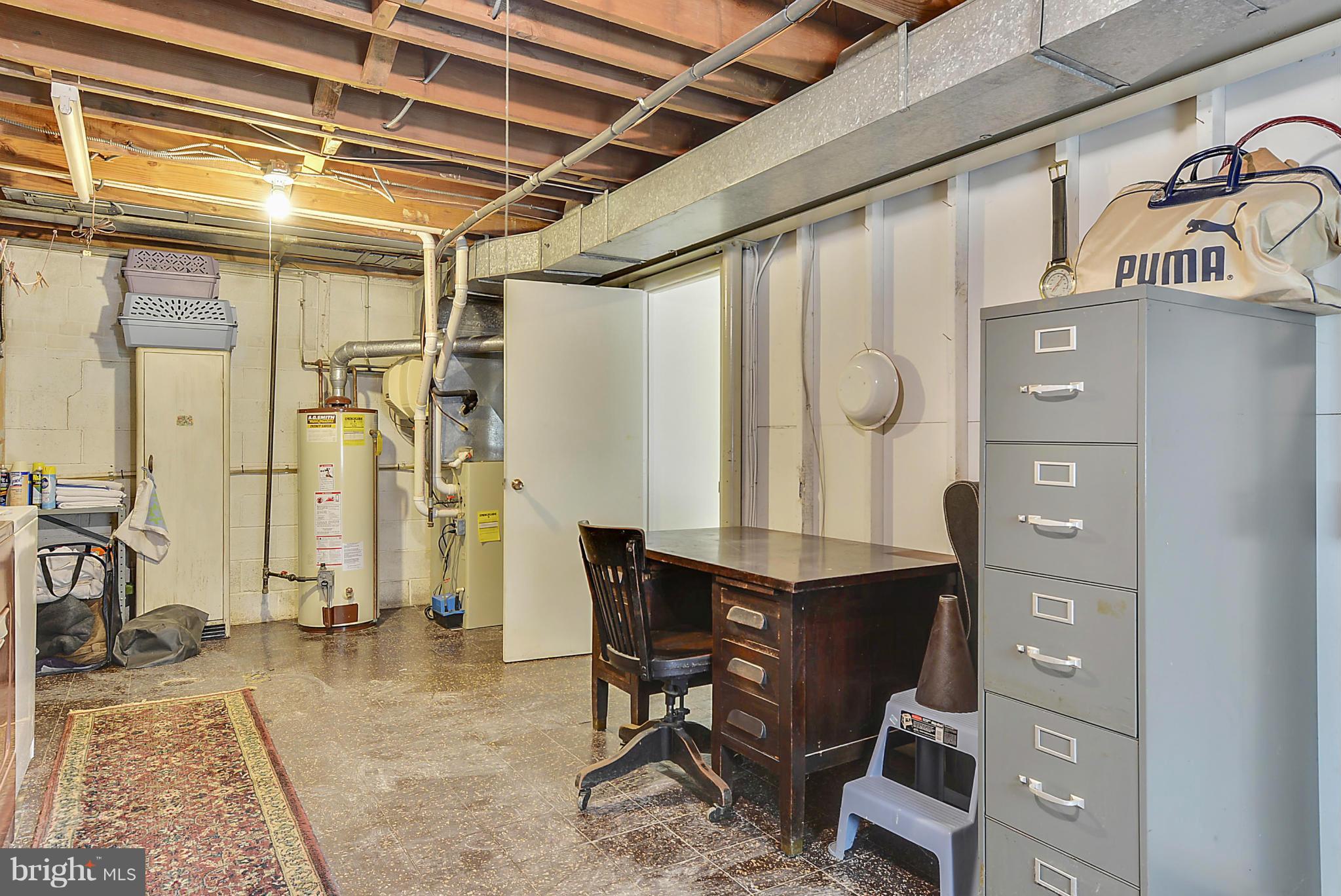 910 North Belgrade Road Silver Spring, MD 20902 - Photo 24 of 30 Basement Storage