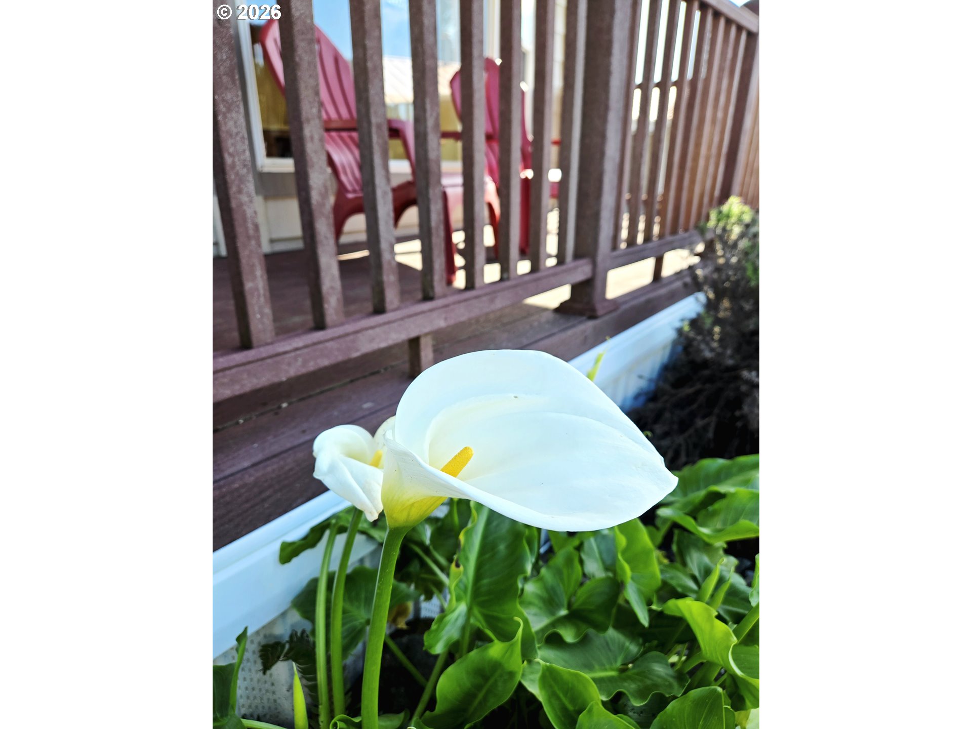16219 Lower Harbor Road, Unit 18 Brookings, OR 97415 - Photo 38 of 38 a bathroom with a sink and a mirror