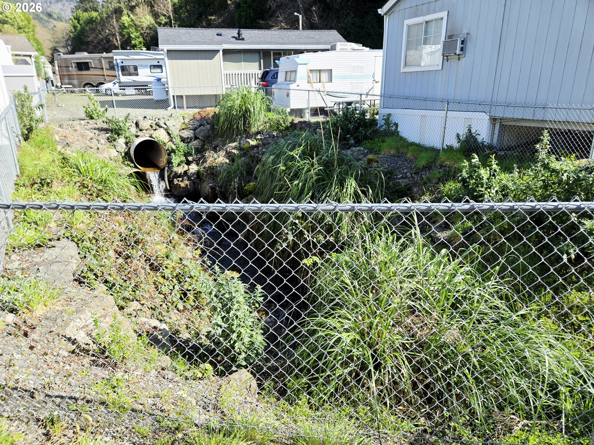 16219 Lower Harbor Road, Unit 18 Brookings, OR 97415 - Photo 6 of 38 a view of a yard with plants and large trees
