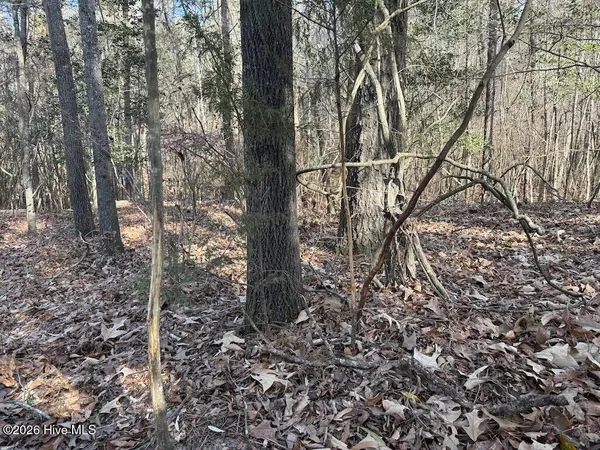 $600,000 | 0 Highway 42 Tarboro Nc 27886, Tarboro, NC 27886