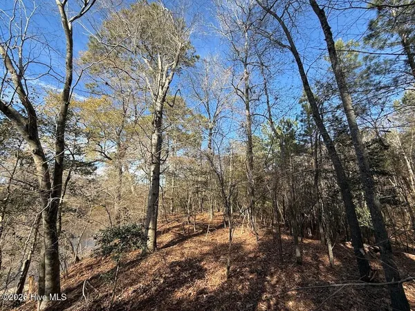 $600,000 | 0 Highway 42 Tarboro Nc 27886, Tarboro, NC 27886