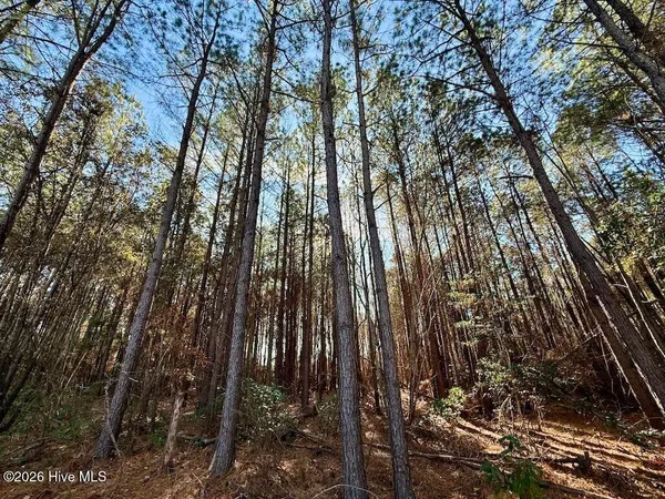 $600,000 | 0 Highway 42 Tarboro Nc 27886, Tarboro, NC 27886