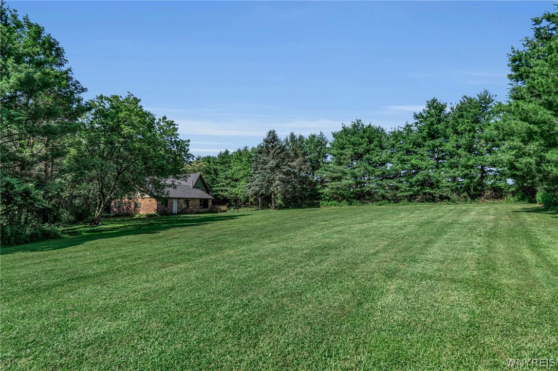 13220 Big Tree Road Wales, NY 14037 - Photo 44 of 45