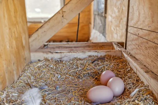 a view of outdoor space with deck and yard