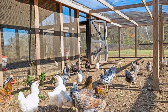 a view of an outdoor space and mountain view