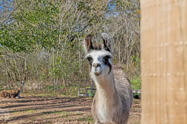 a view of a terrace with a sink