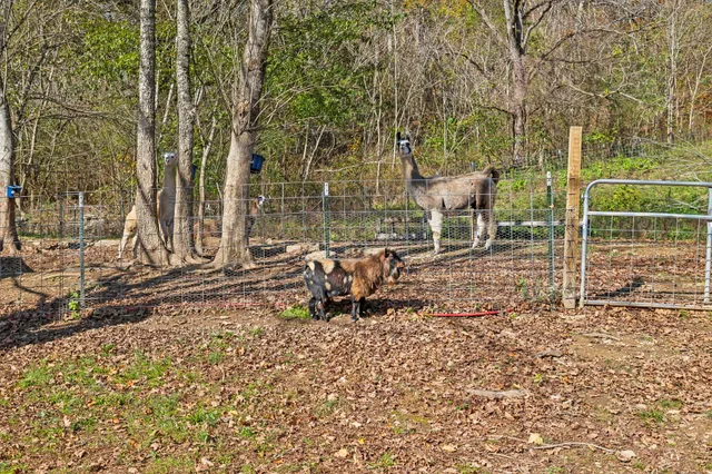 $3,250,000 | 1277 Campbellsville Pike, Lynnville, TN 38472