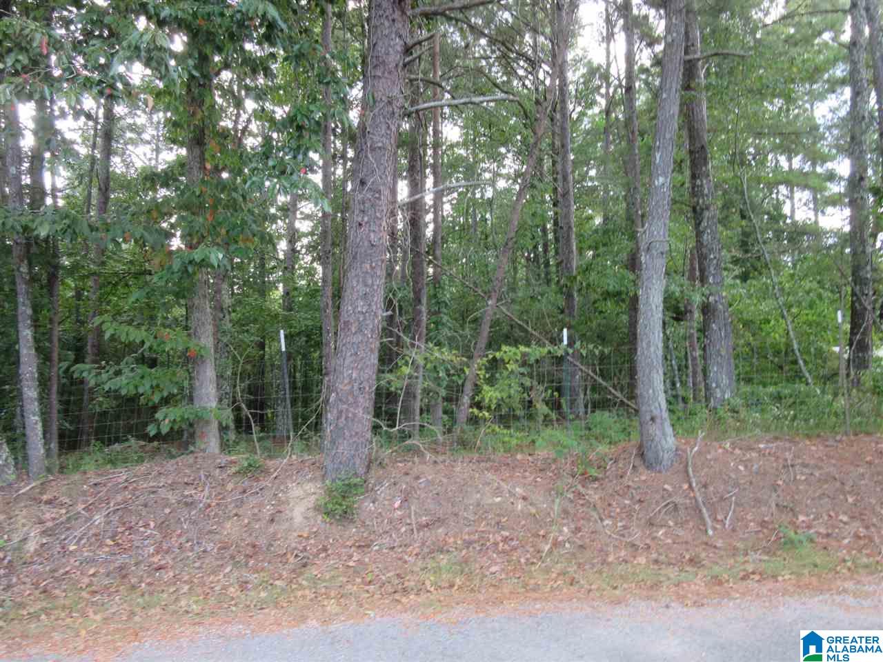 3260 Highway 27 Oneonta Al Oneonta, AL 35121 - Photo 37 of 37