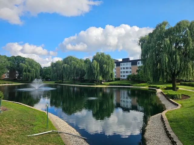 a view of a lake with a roof deck