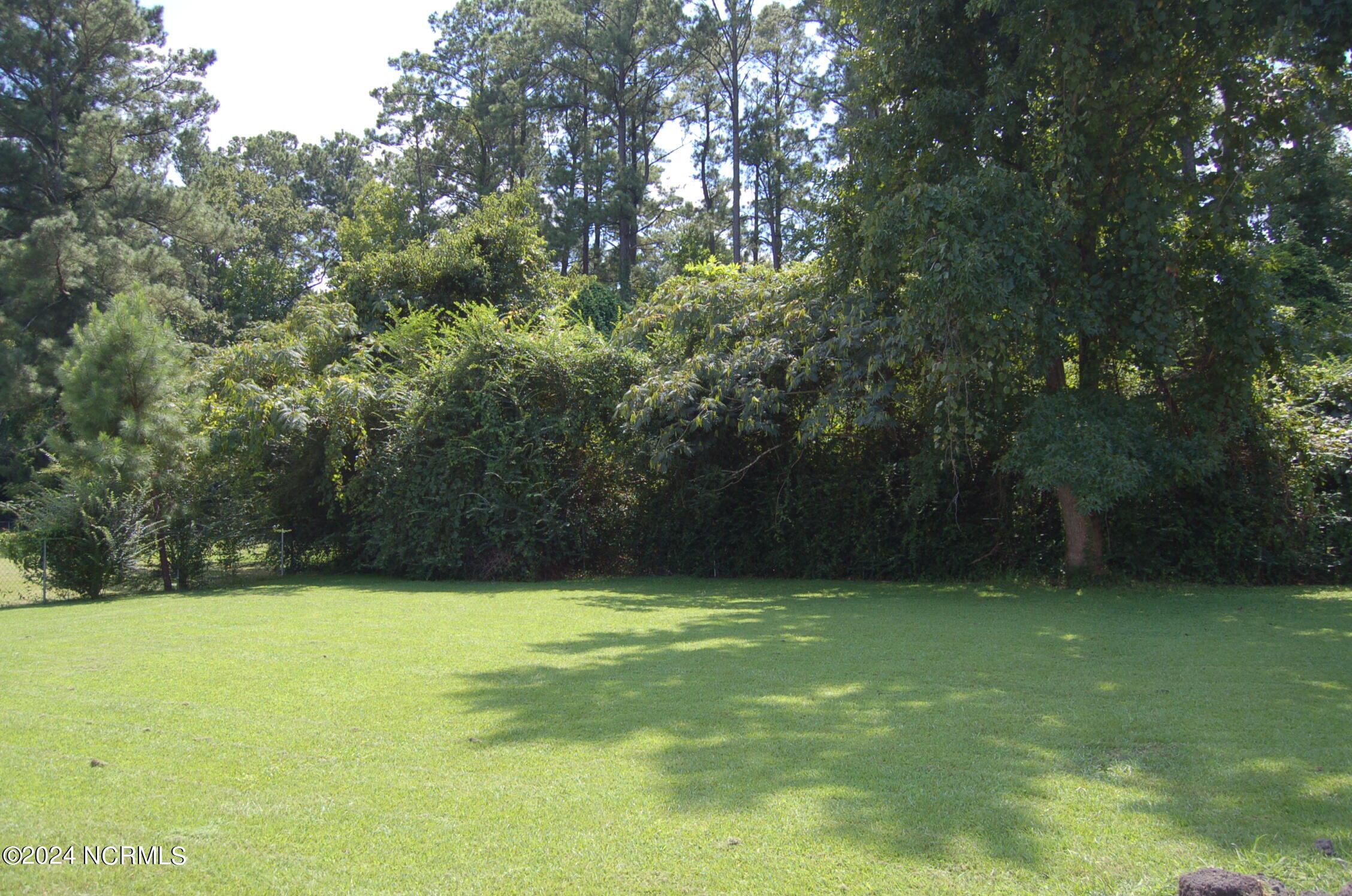 617 Lee Drive Havelock, NC 28532 - Photo 5 of 20 Huge fenced back yard is very lush with grass that feels like walking on carpet.