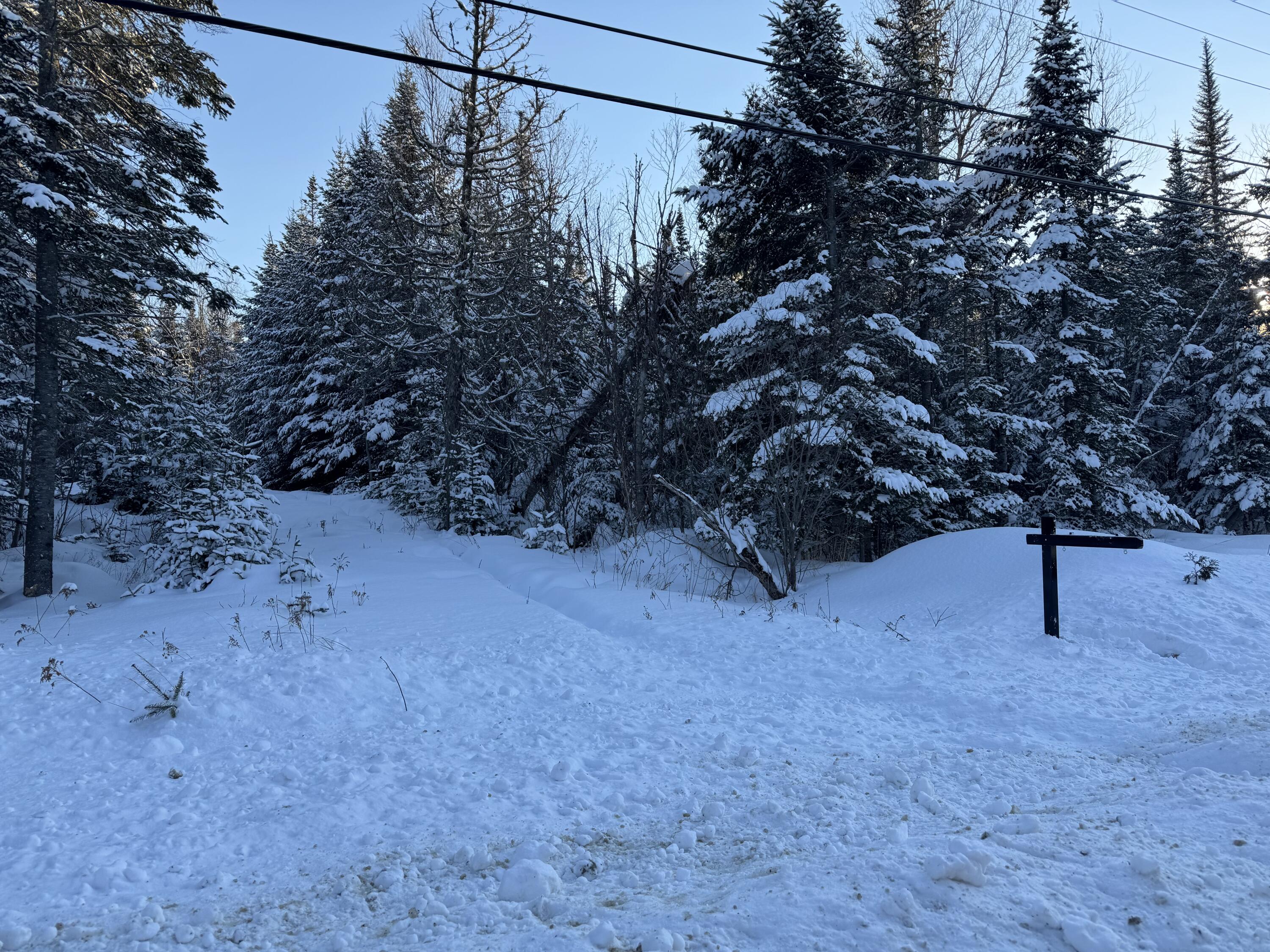 101 Saddleback Mountain Road Dallas Plt, ME 04970 - Photo 5 of 7