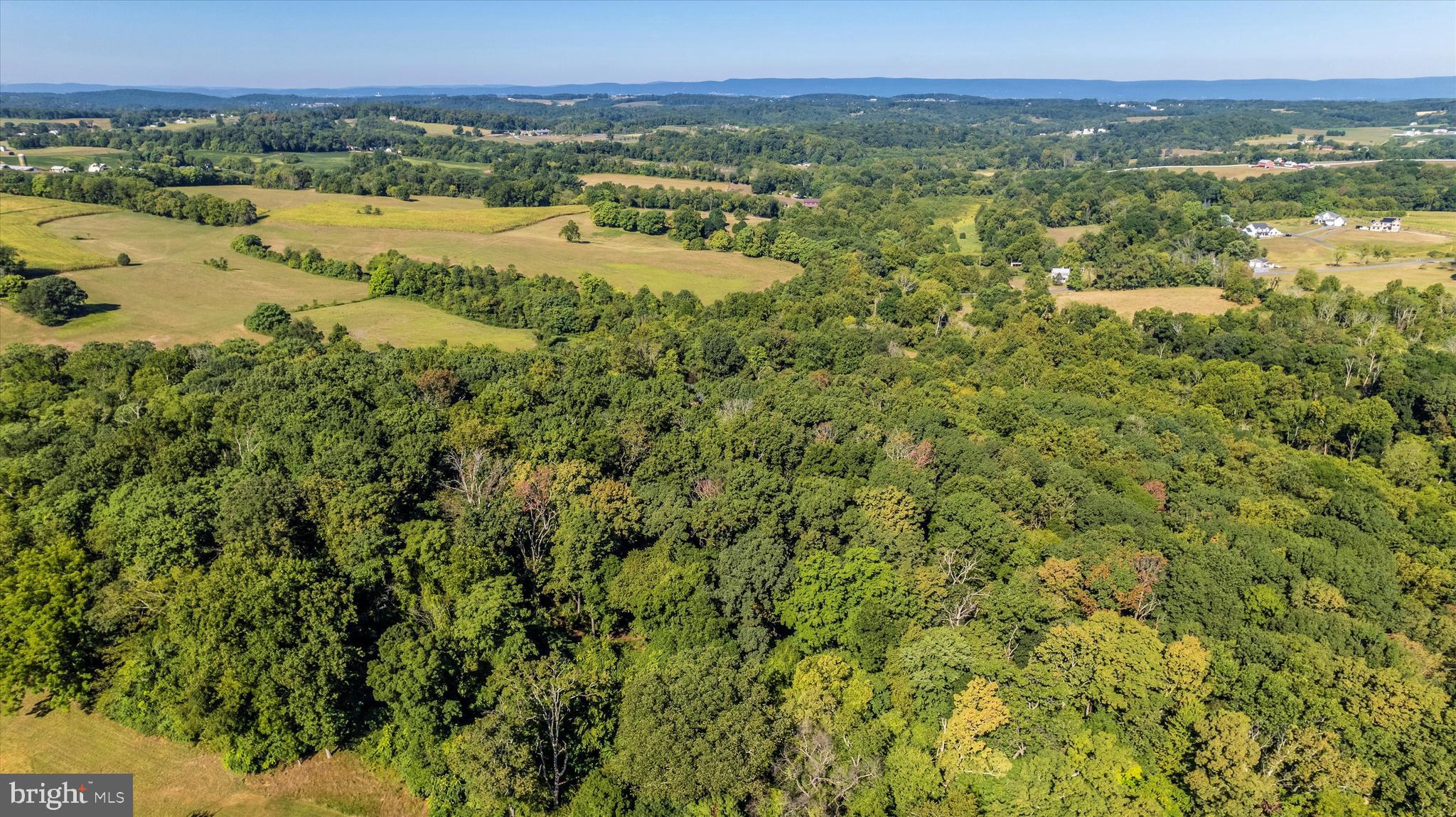 12350 Glissans Mill Road Mount Airy, MD 21771 - Photo 109 of 146 Gallery Image 109