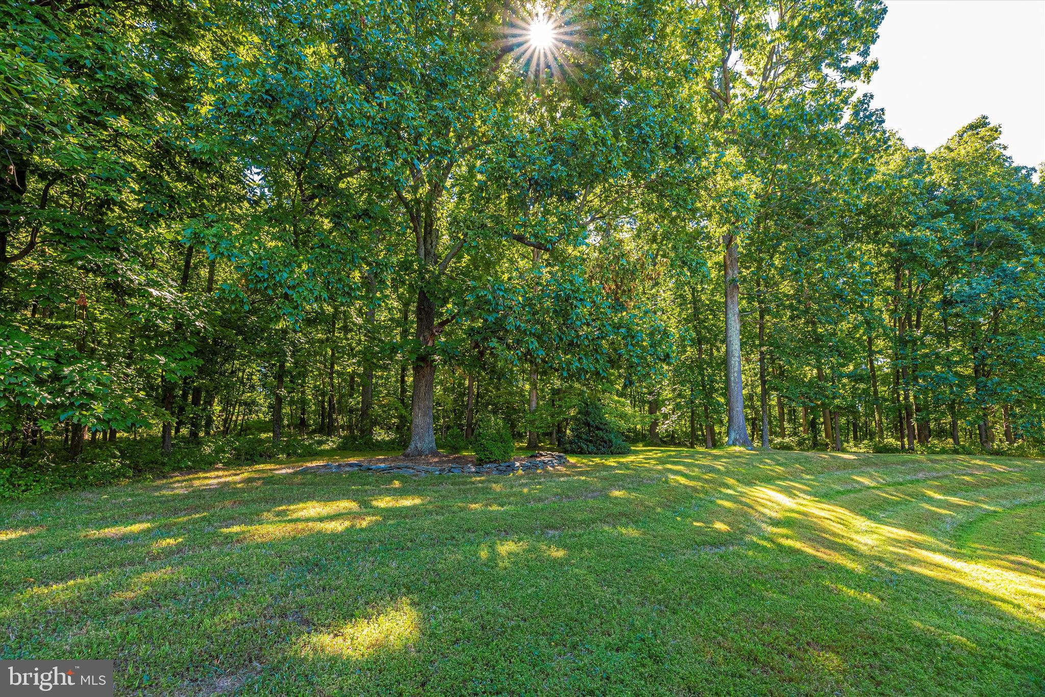 12350 Glissans Mill Road Mount Airy, MD 21771 - Photo 89 of 146 Gallery Image 89