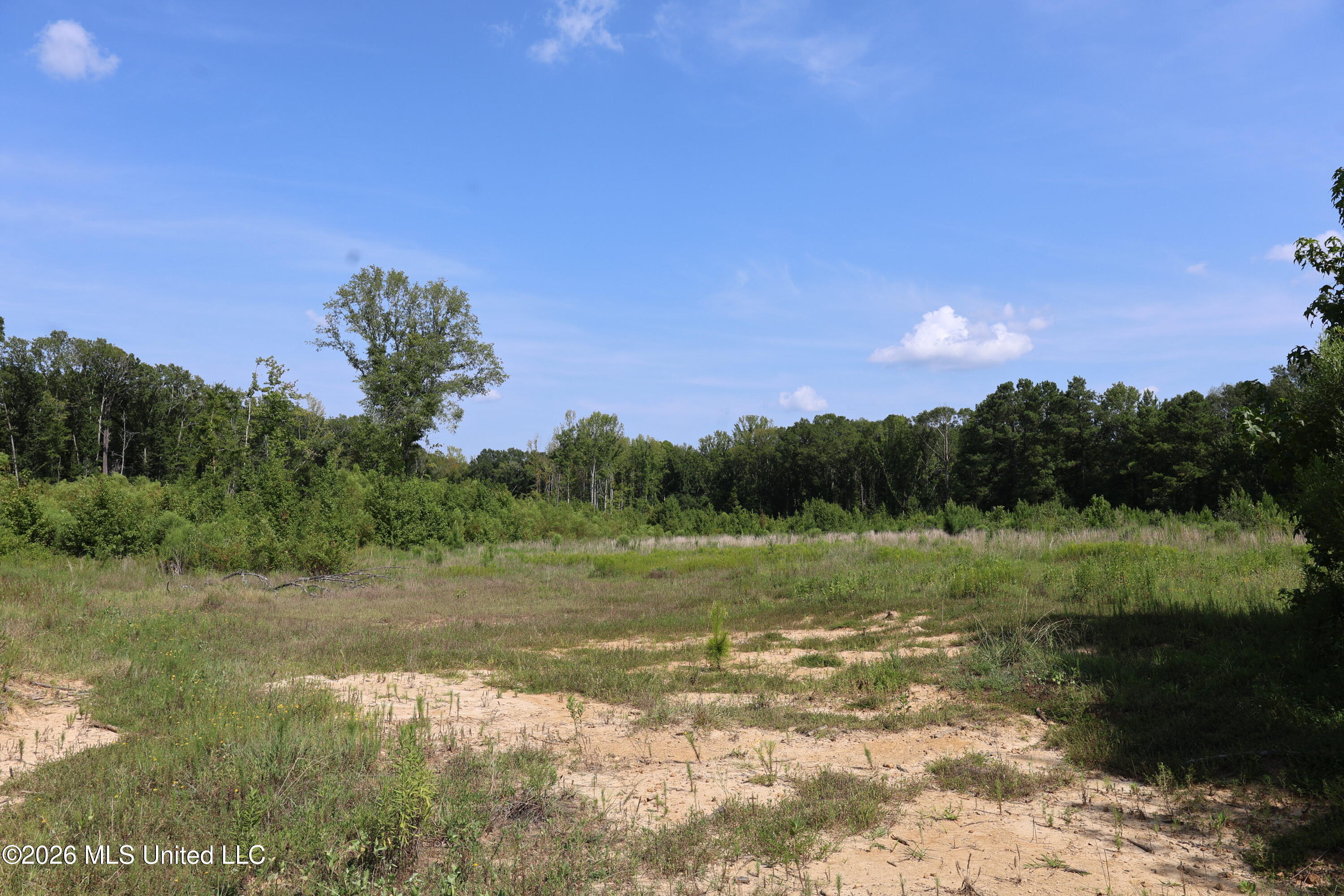 149 Gober Road Camden, MS 39045 - Photo 12 of 26 IMG_8276