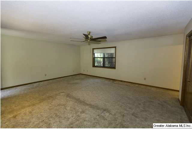 3706 Mt Olive Road Mount Olive, AL 35117 - Photo 15 of 20