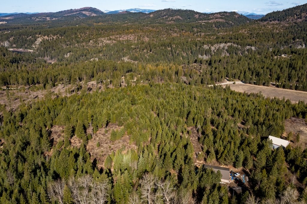 Lot A Lot A Spring Valley Road Elk, WA 99009 - Photo 2 of 10