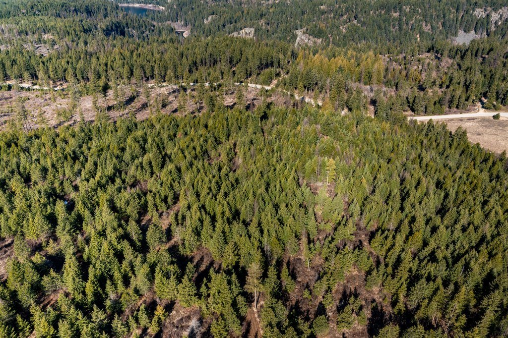 Lot A Lot A Spring Valley Road Elk, WA 99009 - Photo 3 of 10