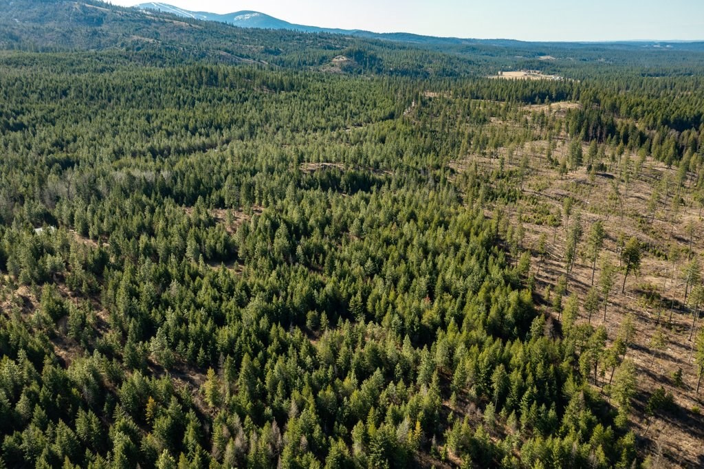 Lot A Lot A Spring Valley Road Elk, WA 99009 - Photo 4 of 10