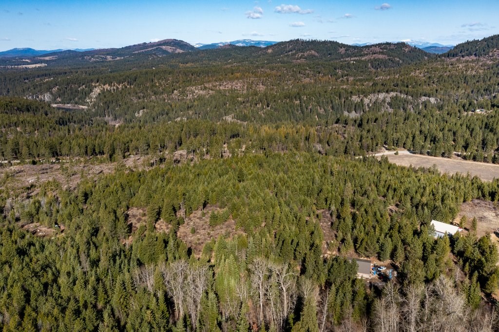 Lot A Lot A Spring Valley Road Elk, WA 99009 - Photo 5 of 10